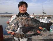 黒島の磯&鷹島のカンドリでチヌ好釣…