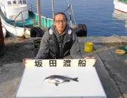 鷹島のカンドリでのチヌ釣果
