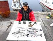 黒島の筏のチヌ、ボケをエサに43～46.5…