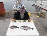 鷹島のカンドリのフカセグレ・チヌ釣果