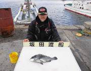 【4日】黒島の磯でのフカセ釣果