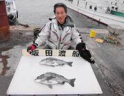 【10日】黒島の磯で良型チヌの釣果