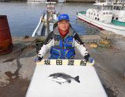 黒島の磯でチヌの釣果