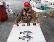 【23日】黒島の筏チヌ釣果