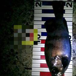 アジュール舞子でメバリング、速攻で4連チャン！