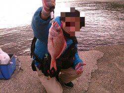 岩見漁港で地元の方もビックリの・・・・