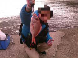 岩見漁港で地元の方もビックリの・・・・