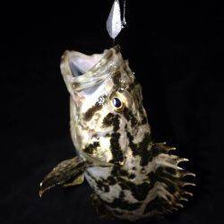 南芦屋浜　満潮前後の釣行でタケノコメバル　根掛かりに苦しみながらの釣果