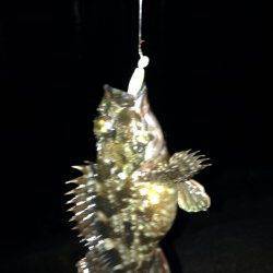 南芦屋浜、自作のジグヘッドでガシラの釣果