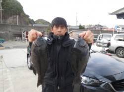 萩尾の磯、良型のグレ釣れています♪