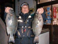 三尾の磯グレ45㎝！50㎝！！の良型2枚＼(◎o◎)／