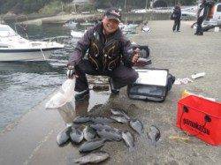 赤島の壁、10匹オーバーとグレ好調です♪