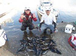 ハシゴ島二人で29匹☆ 下り潮が入りグレ良く釣れてます