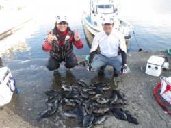 ハシゴ島二人で29匹☆ 下り潮が入りグレ良…