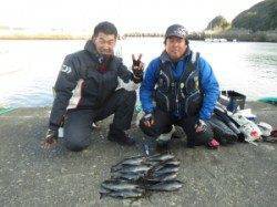 ハシゴ島二人で29匹☆ 下り潮が入りグレ良く釣れてます