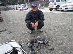 地のカンゴメのグレ釣果、朝方良く釣れました☆