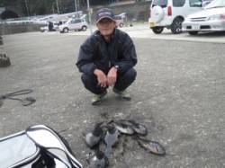 地のカンゴメのグレ釣果、朝方良く釣れました…