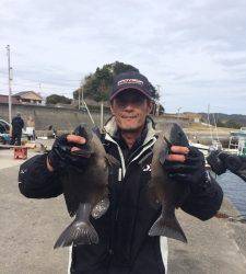 萩尾の磯でのフカセ釣果　グレ・イサギ