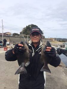 萩尾の磯でのフカセ釣果　グレ・イサギ