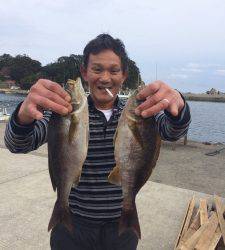 萩尾の磯でのフカセ釣果　グレ・イサギ