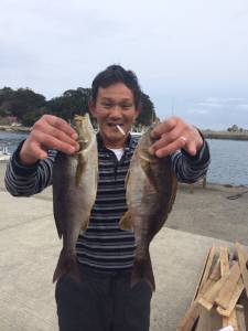 萩尾の磯でのフカセ釣果　グレ・イサギ