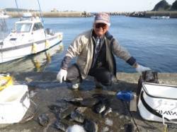 17日　八丈で寒グレ大漁！