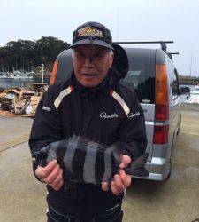 コレバイでグレの他にも石鯛上がりました☆