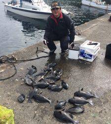 潮良く萩尾の各磯でグレ釣れてます(#^.^#)