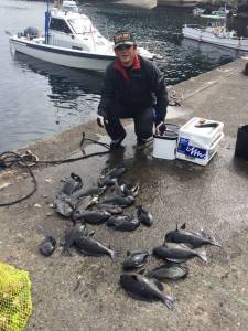 潮良く萩尾の各磯でグレ釣れてます(#^.^…