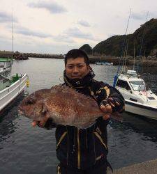湾内磯で真鯛釣れています！他グレ釣果