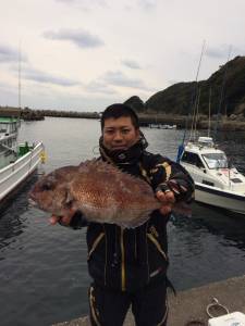 湾内磯で真鯛釣れています！他グレ釣果
