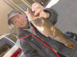 東肩の投げ釣りでアイナメ43cm(^_^)v