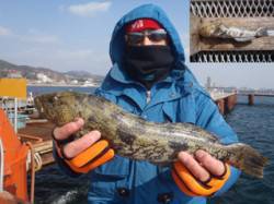 須磨海釣り公園でアイナメ記録賞！ウキ流し釣…