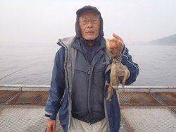 須磨海釣り公園、カゴ天秤にタコかかりました