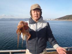 須磨海釣り公園、今日もマダコが釣れています…