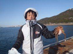 須磨海づり公園、マダコ500g&200gをテンヤでキャッチ