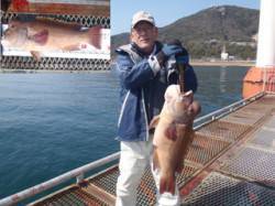 てかっ！　記録賞のコブダイ73cm