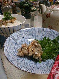 エギングランガン中白浜で大量発生のアジ発見