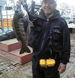 旧一文字2番、落とし込みで良型のチヌ☆