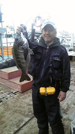 旧一文字2番、落とし込みで良型のチヌ☆