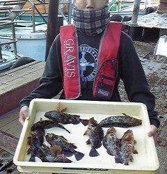 岸和田一文字　ガシラ狙いも面白い