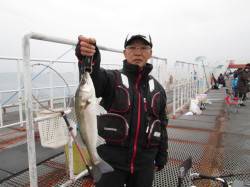 雨の尼崎市立魚つり公園、出ました年無し！