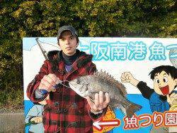 南港海釣り公園　チヌ・ハネの釣果