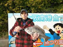 南港海釣り公園　チヌ・ハネの釣果