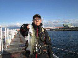 5分の間にハネセイゴを連発！ 尼崎市立魚つり公園