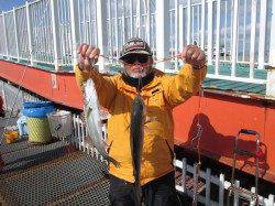 5分の間にハネセイゴを連発！ 尼崎市立魚つり公園