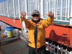 5分の間にハネセイゴを連発！ 尼崎市立魚つ…