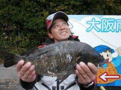 南港海釣り公園で良サイズのチヌ！