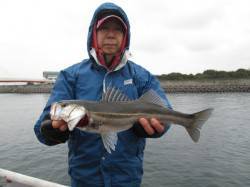 尼崎市立魚つり公園、ハネ好調です