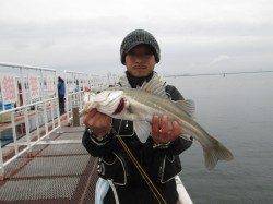 尼崎市立魚つり公園、ハネ好調です